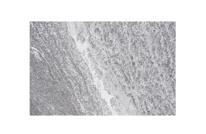 Bodenplatte Onsernone struktura, kugelgestrahlt, gesägt, freie Länge x 40/3 cm